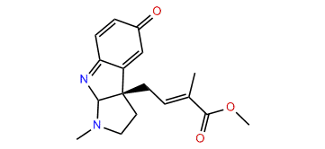 Pseudophrynamine 300